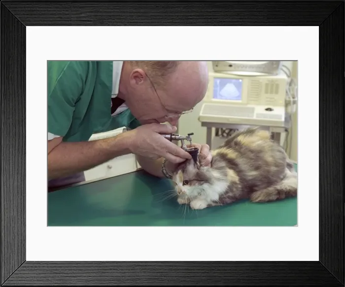 Framed Print : Picture No. 10769970 Framed Print : Picture No. 10769970