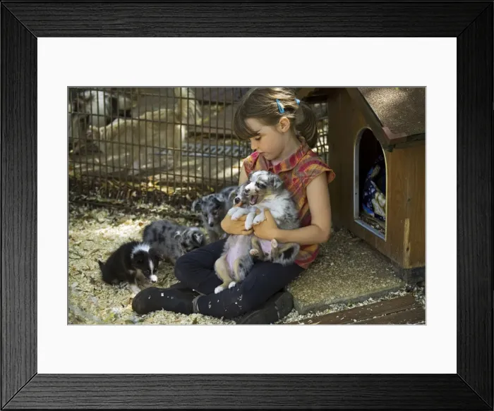 Framed Print : Picture No. 10772709 Framed Print : Picture No. 10772709