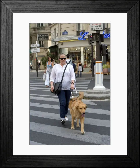 Framed Print : Picture No. 10769687 Framed Print : Picture No. 10769687