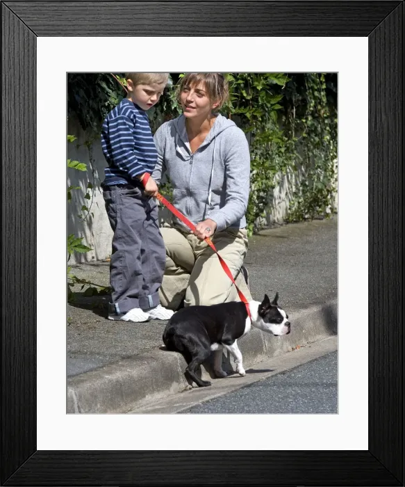 Framed Print : Picture No. 10772630 Framed Print : Picture No. 10772630
