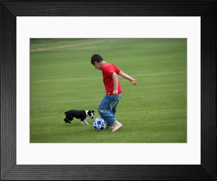 Framed Print : Picture No. 10772445 Framed Print : Picture No. 10772445