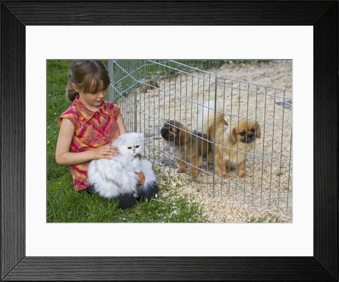 Framed Print : Picture No. 10772706 Framed Print : Picture No. 10772706