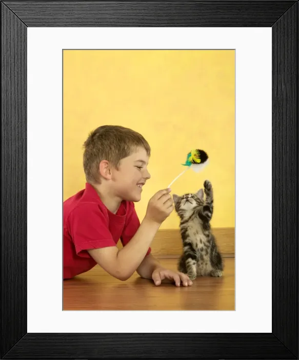 Framed Print : Picture No. 10769715 Framed Print : Picture No. 10769715