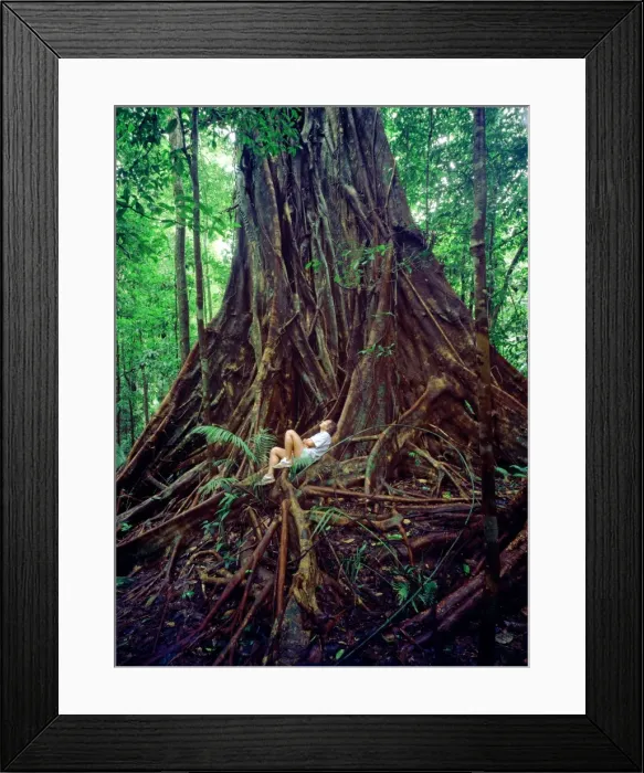Framed Print : Picture No. 10769842 Framed Print : Picture No. 10769842