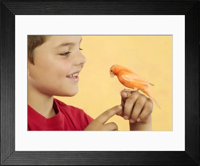 Framed Print : Picture No. 10769716 Framed Print : Picture No. 10769716