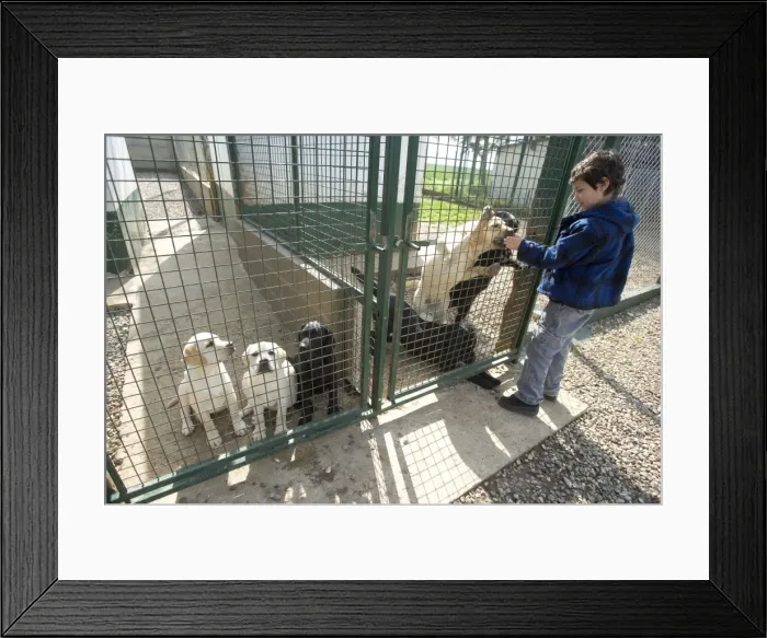 Framed Print : Picture No. 10769709 Framed Print : Picture No. 10769709