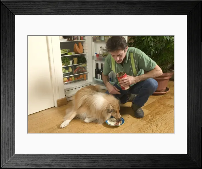 Framed Print : Picture No. 10769841 Framed Print : Picture No. 10769841