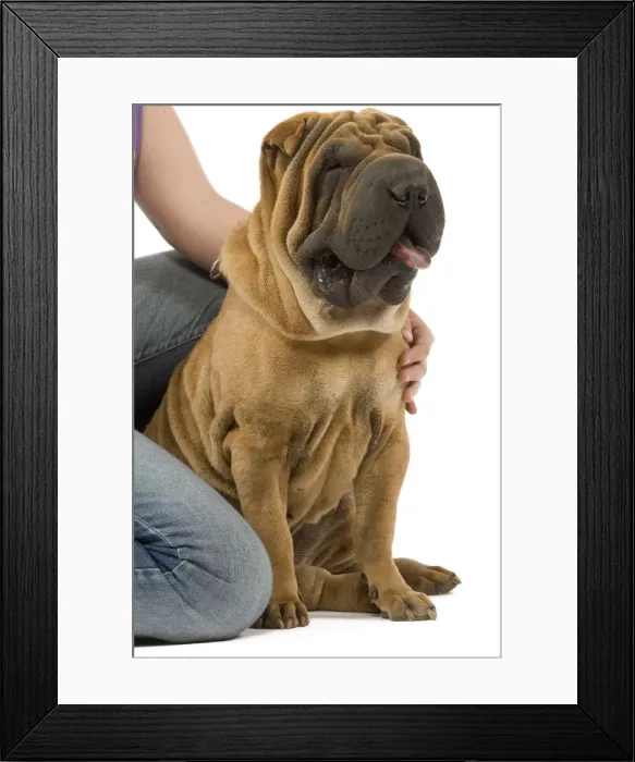 Framed Print : Picture No. 10772647 Framed Print : Picture No. 10772647