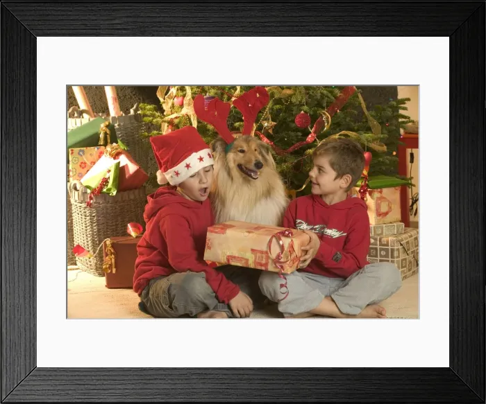 Framed Print : Picture No. 10769955 Framed Print : Picture No. 10769955