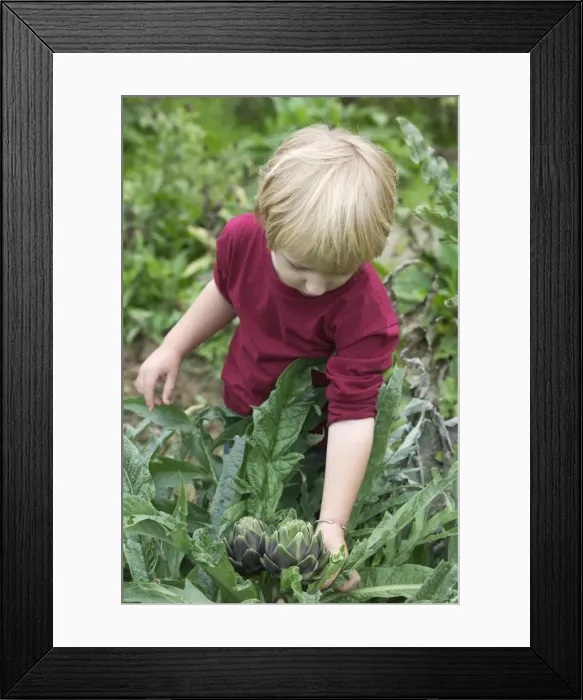 Framed Print : Picture No. 10772564 Framed Print : Picture No. 10772564