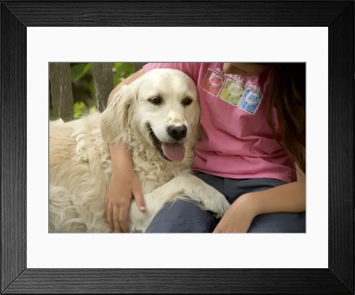 Framed Print : Picture No. 10769701 Framed Print : Picture No. 10769701
