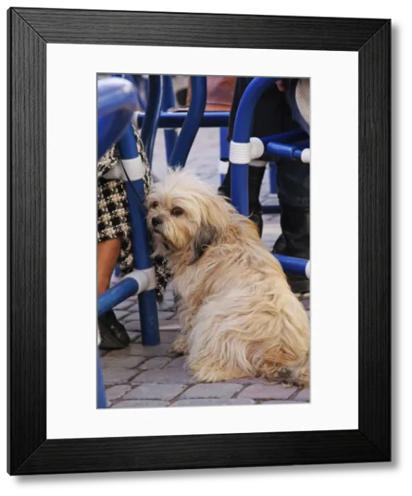 Framed Print : Picture No. 10772667 Framed Print : Picture No. 10772667