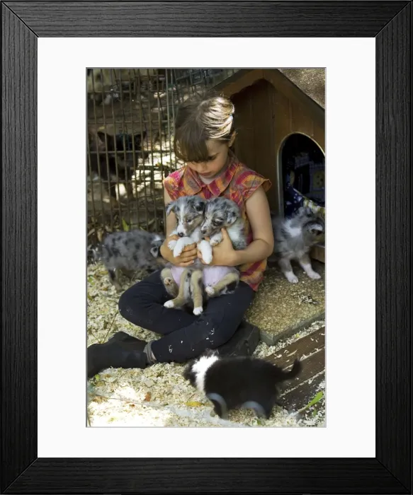 Framed Print : Picture No. 10772708 Framed Print : Picture No. 10772708