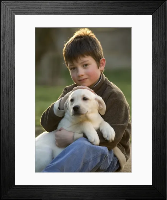Framed Print : Picture No. 10769811 Framed Print : Picture No. 10769811