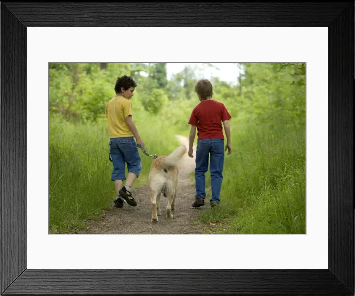 Framed Print : Picture No. 10769823 Framed Print : Picture No. 10769823
