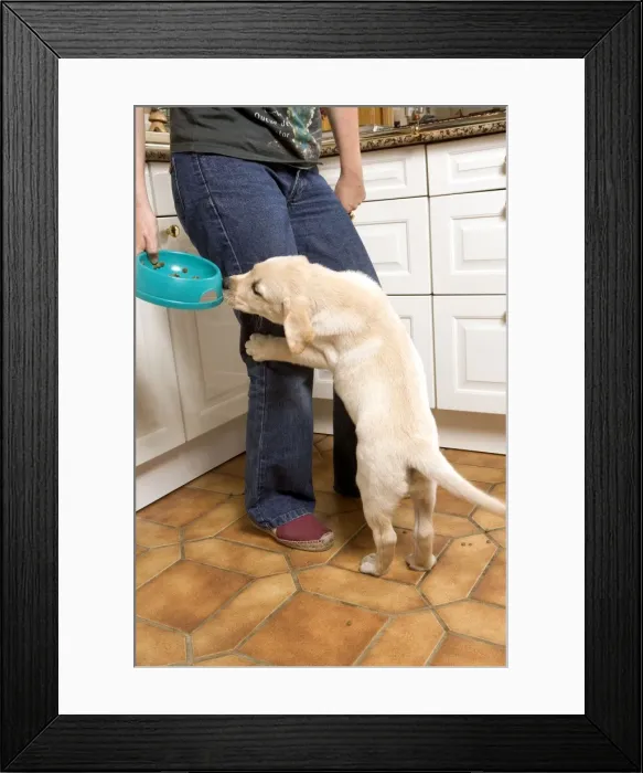 Framed Print : Picture No. 10769696 Framed Print : Picture No. 10769696