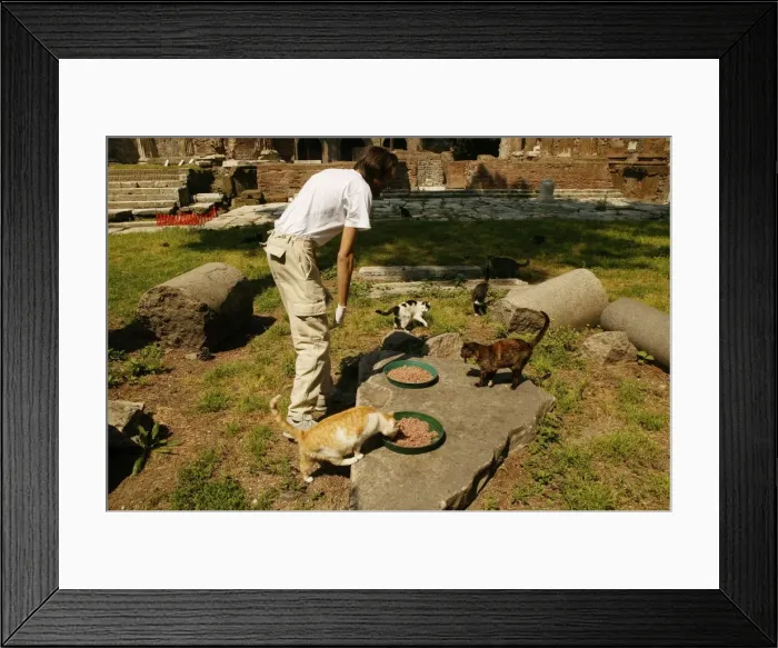 Framed Print : Picture No. 10769663 Framed Print : Picture No. 10769663