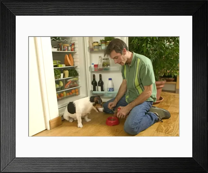 Framed Print : Picture No. 10769826 Framed Print : Picture No. 10769826