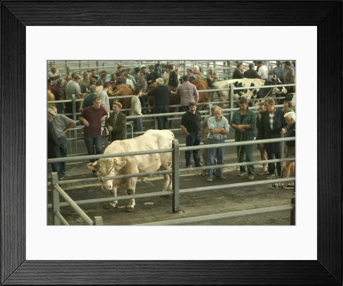 Framed Print : Picture No. 10769730 Framed Print : Picture No. 10769730