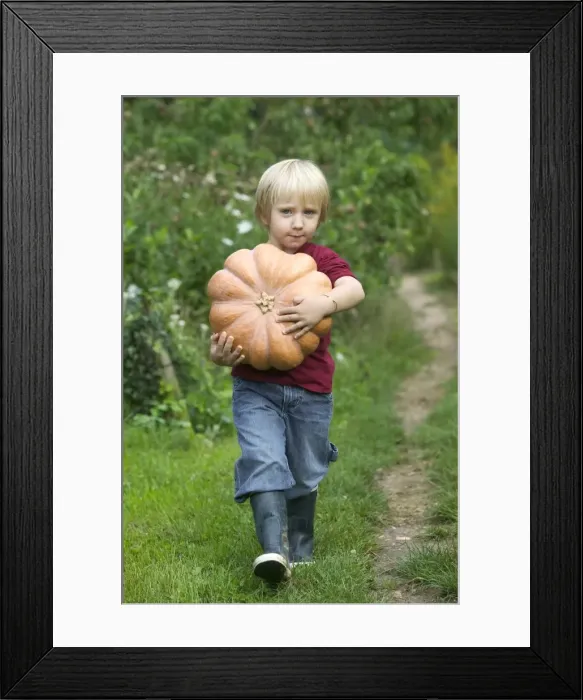 Framed Print : Picture No. 10772563 Framed Print : Picture No. 10772563