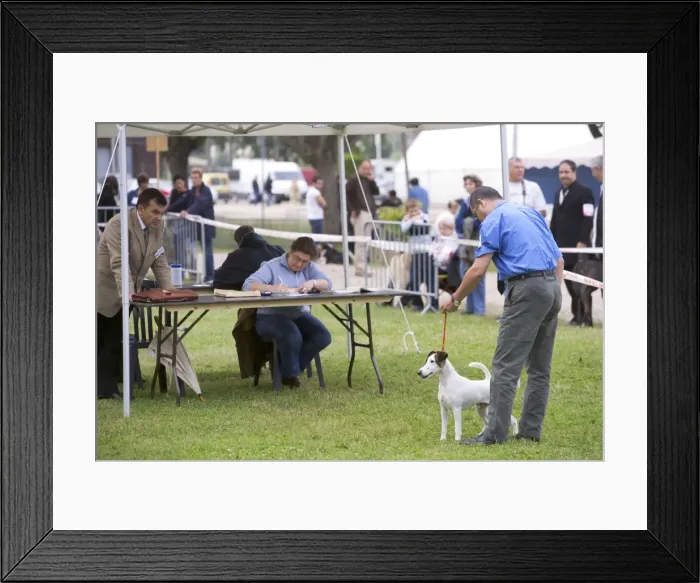 Framed Print : Picture No. 10772780 Framed Print : Picture No. 10772780