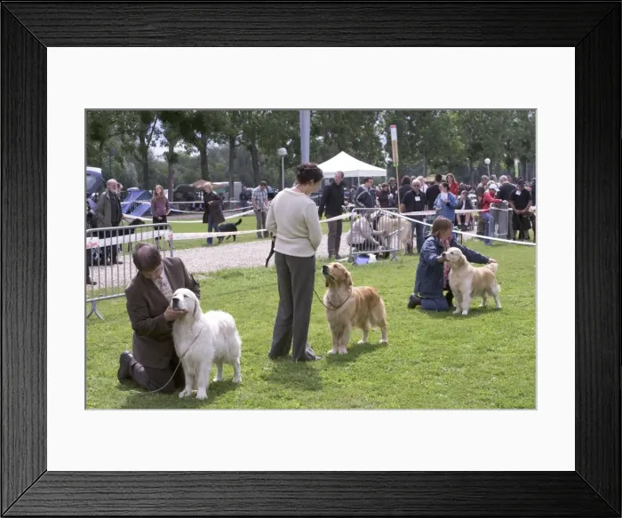Framed Print : Picture No. 10772779 Framed Print : Picture No. 10772779
