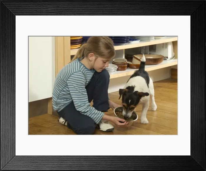 Framed Print : Picture No. 10769704 Framed Print : Picture No. 10769704