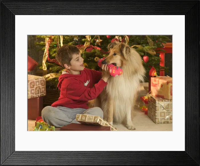 Framed Print : Picture No. 10769963 Framed Print : Picture No. 10769963
