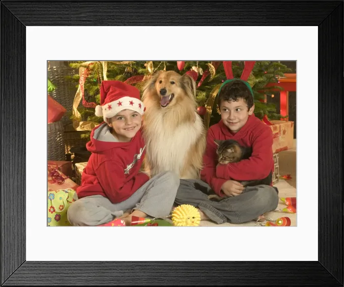 Framed Print : Picture No. 10769956 Framed Print : Picture No. 10769956
