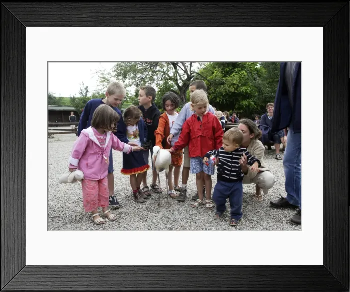 Framed Print : Picture No. 10779232 Framed Print : Picture No. 10779232