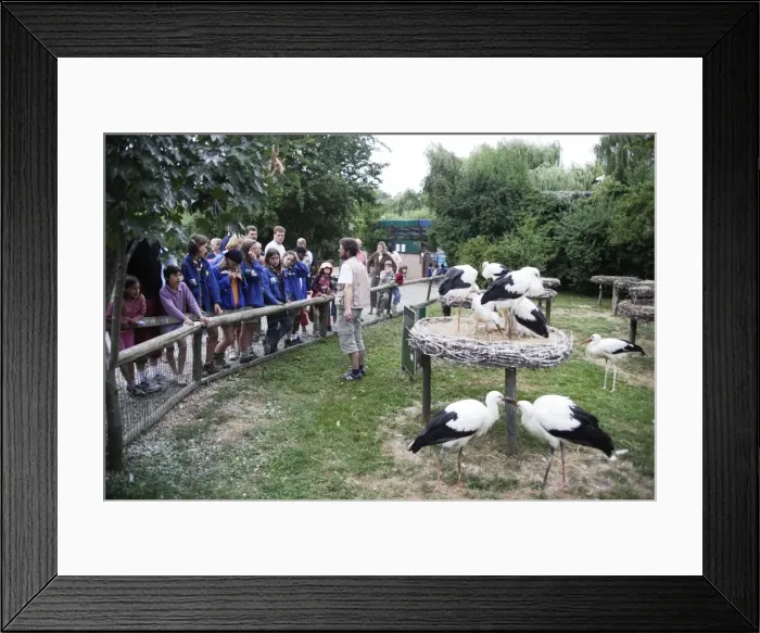 Framed Print : Picture No. 10779233 Framed Print : Picture No. 10779233