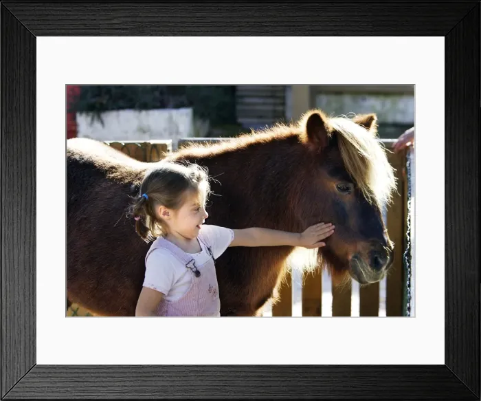 Framed Print : Picture No. 10779237