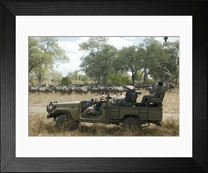 Framed Print : Picture No. 10779223 Framed Print : Picture No. 10779223