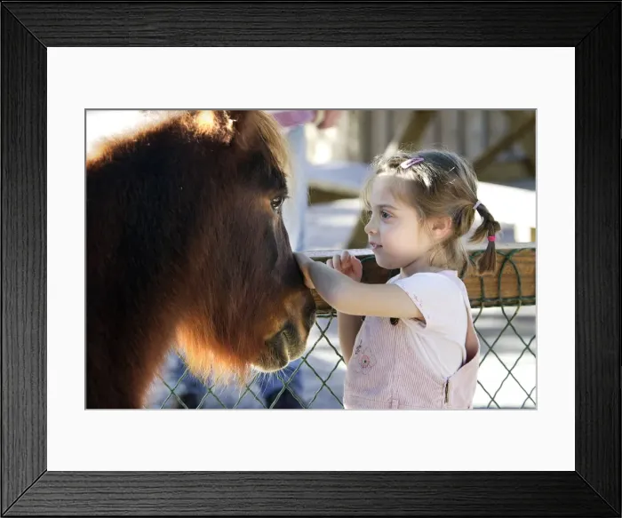Framed Print : Picture No. 10779238