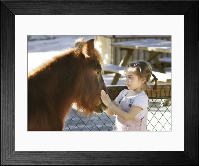 Framed Print : Picture No. 10779239 Framed Print : Picture No. 10779239