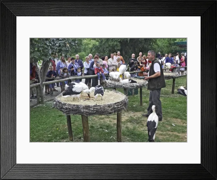 Framed Print : Picture No. 10779234 Framed Print : Picture No. 10779234