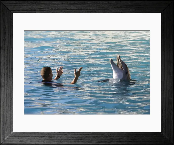 Framed Print : Picture No. 10779254 Framed Print : Picture No. 10779254
