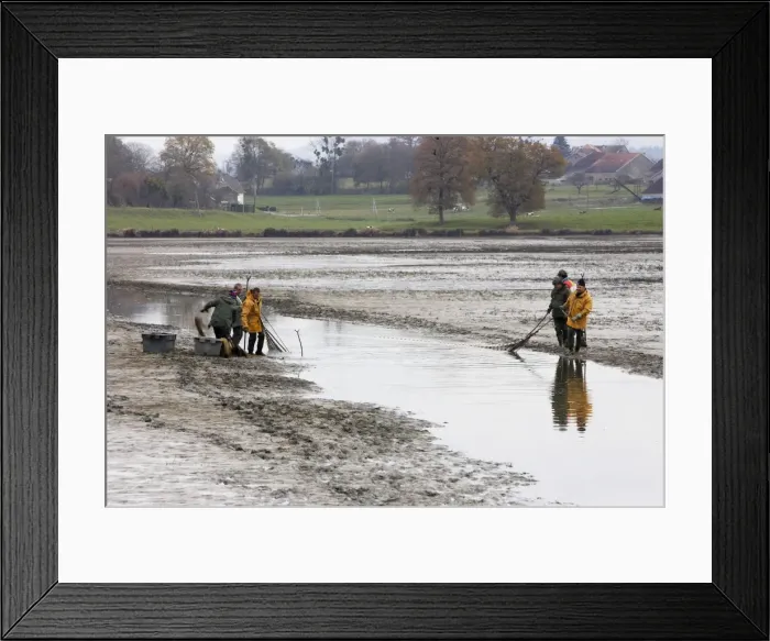 Framed Print : Picture No. 10779268 Framed Print : Picture No. 10779268