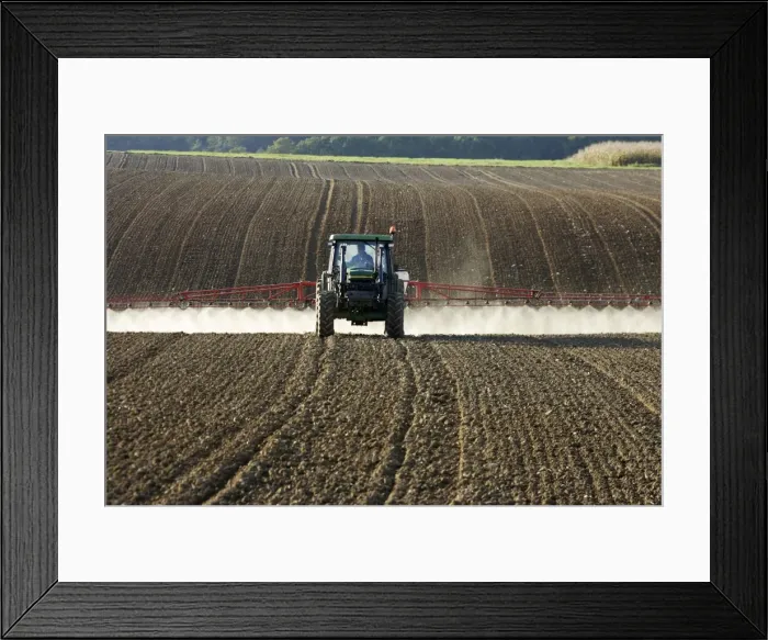 Framed Print : Picture No. 10779269 Framed Print : Picture No. 10779269
