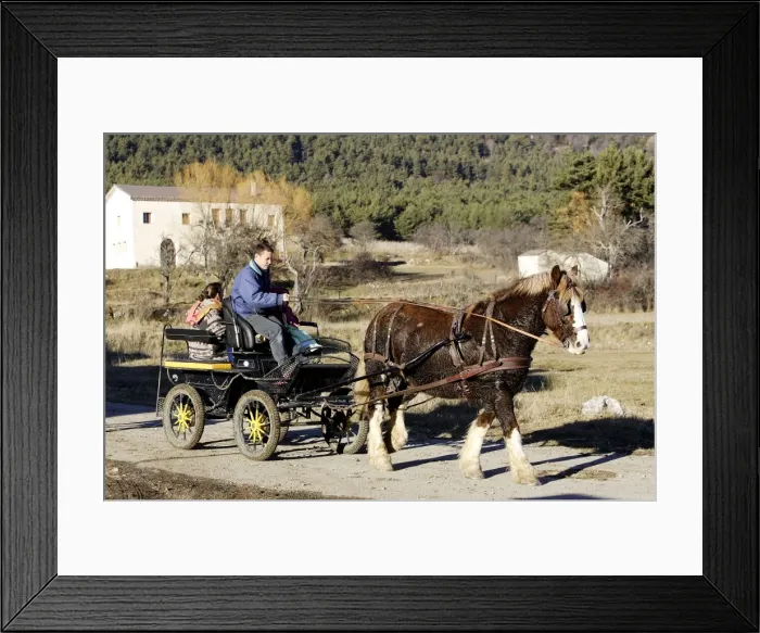 Framed Print : Picture No. 10779435