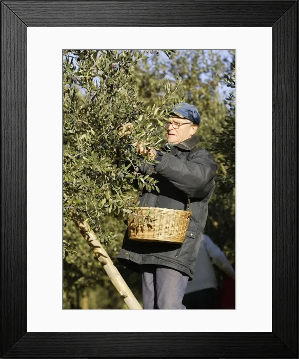 Framed Print : Picture No. 10779449 Framed Print : Picture No. 10779449