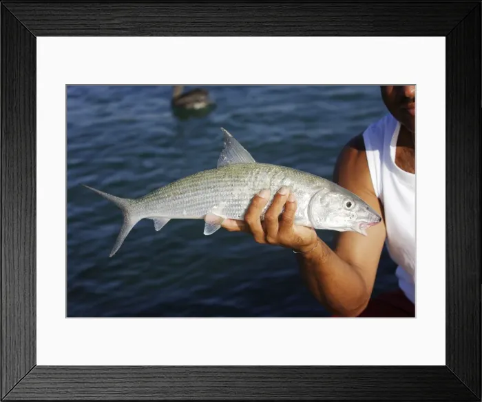 Framed Print : Picture No. 10779550 Framed Print : Picture No. 10779550