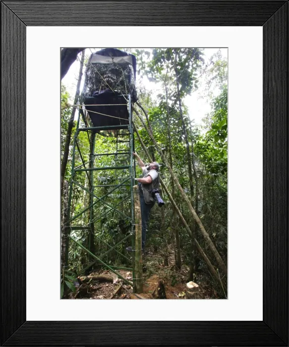 Framed Print : Picture No. 10779524 Framed Print : Picture No. 10779524