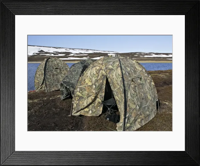 Framed Print : Picture No. 10779722 Framed Print : Picture No. 10779722