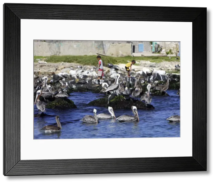 Framed Print : Picture No. 10779631 Framed Print : Picture No. 10779631