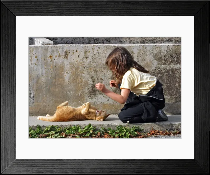 Framed Print : Picture No. 10779917 Framed Print : Picture No. 10779917