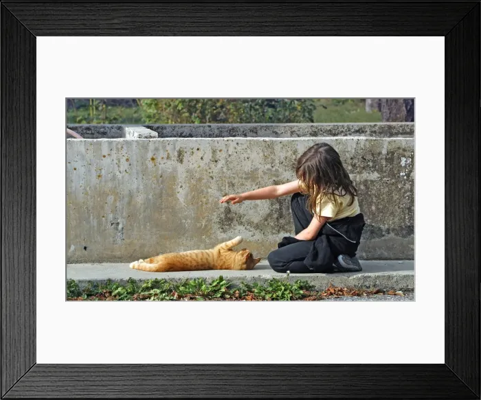 Framed Print : Picture No. 10779916 Framed Print : Picture No. 10779916