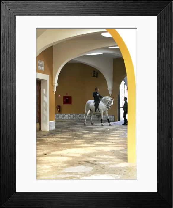 Framed Print : Picture No. 10779957 Framed Print : Picture No. 10779957
