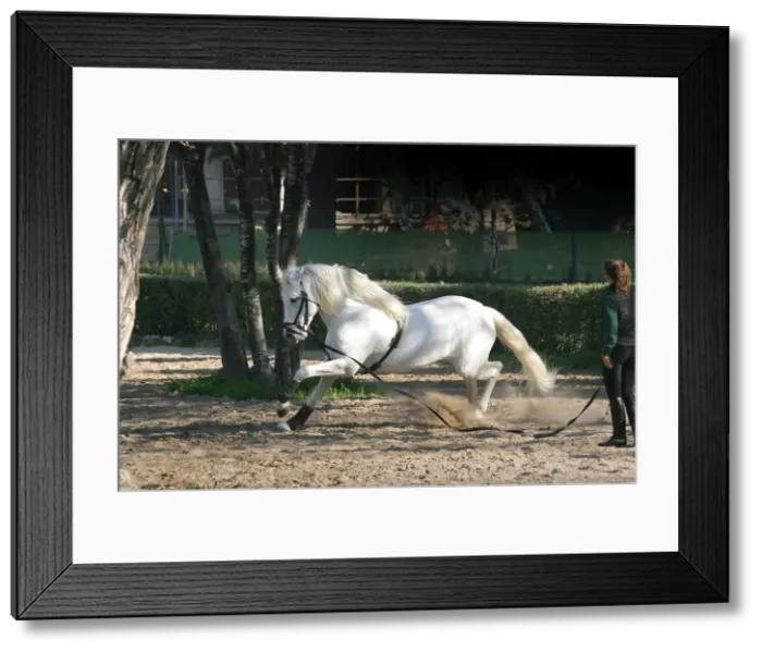 Framed Print : Picture No. 10780126 Framed Print : Picture No. 10780126