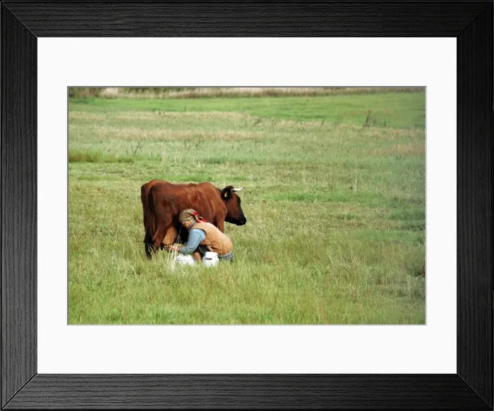 Framed Print : Picture No. 10780179 Framed Print : Picture No. 10780179